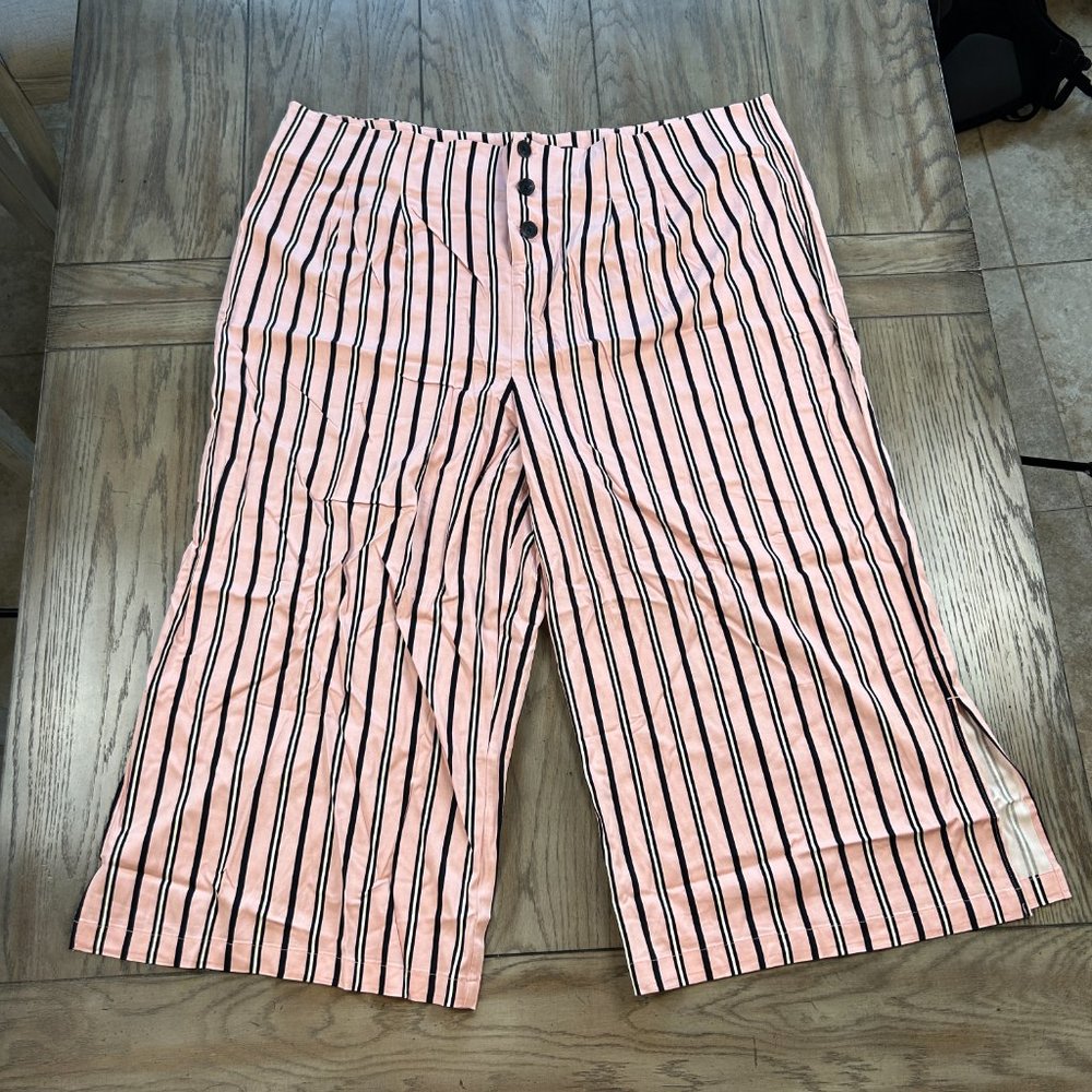 Du Jour Regular Button Front Striped Pants Blush Size 3X